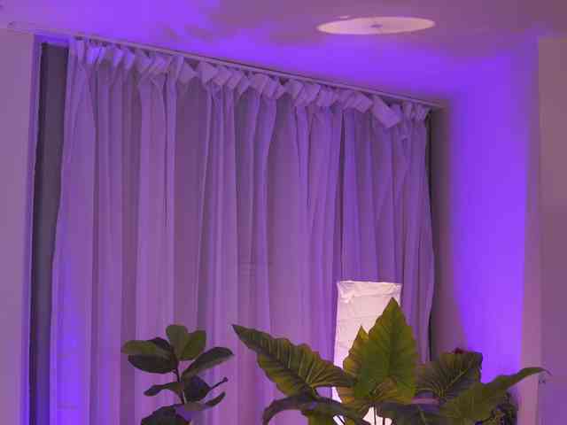 ArabianRose webcam