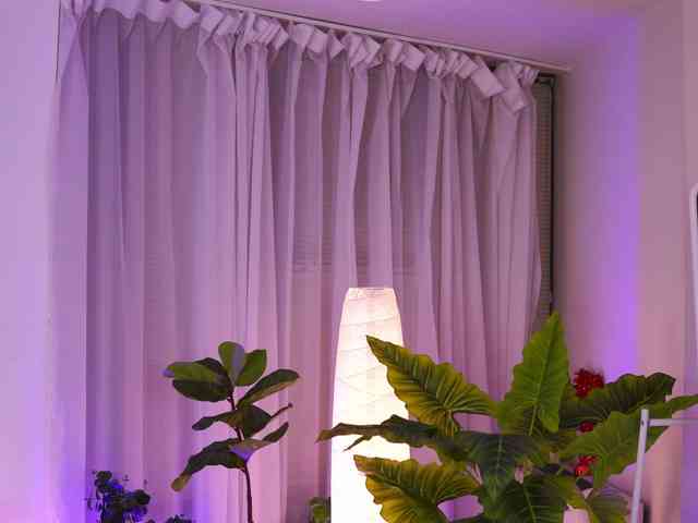 ArabianRose webcam