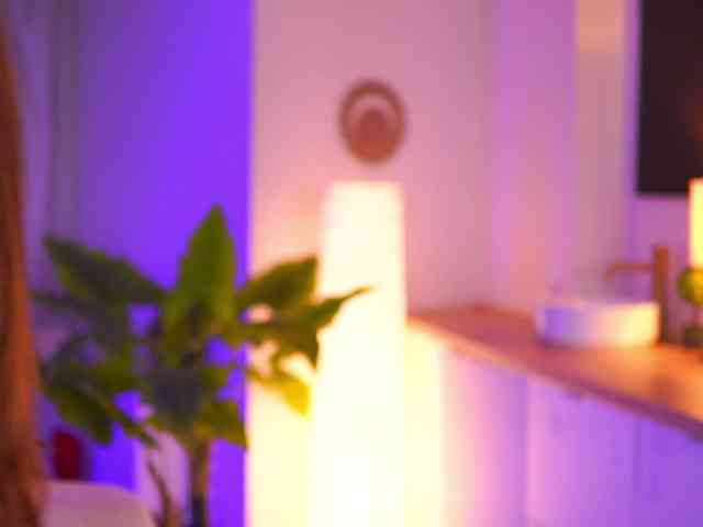 ArabianRose webcam