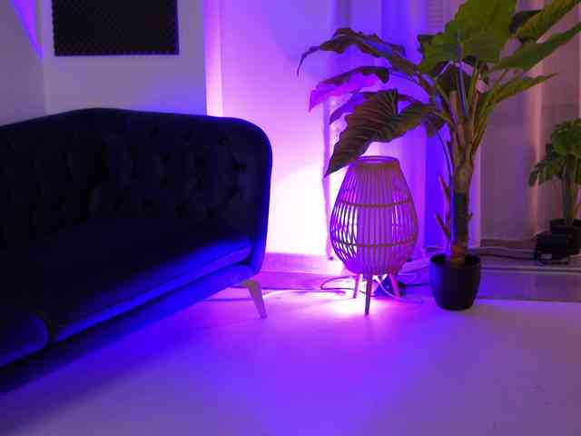 ArabianRose webcam