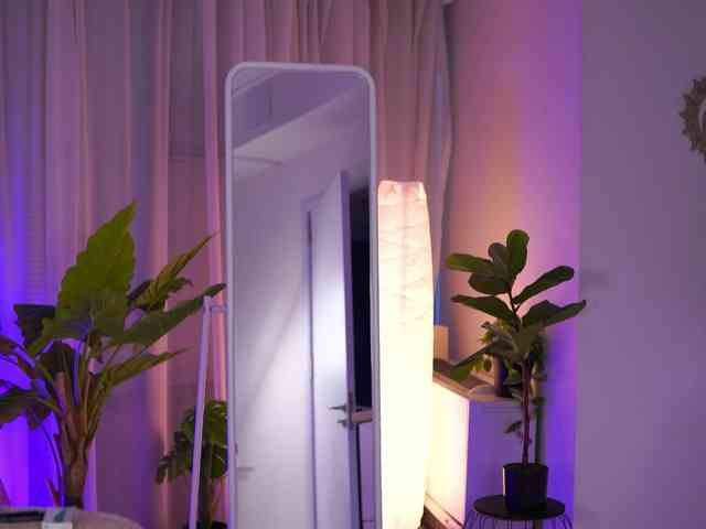 ArabianRose webcam