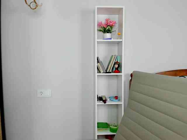 elina-syui webcam