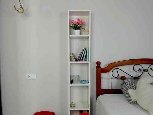 elina-syui webcam