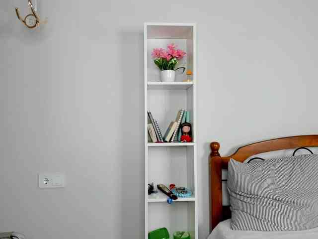 elina-syui webcam