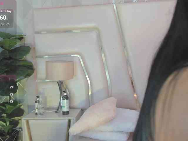 KeisyCamer webcam