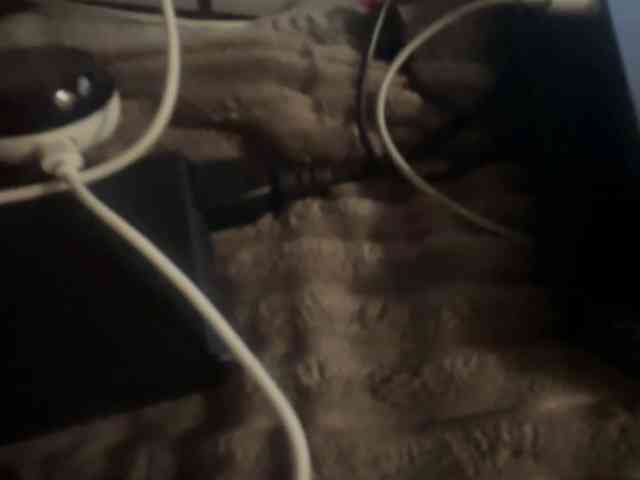 OlyaCharme webcam