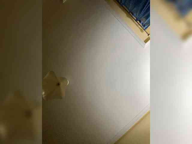 Alikaiwolf webcam