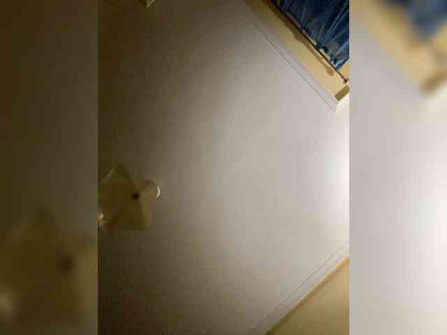 Alikaiwolf webcam