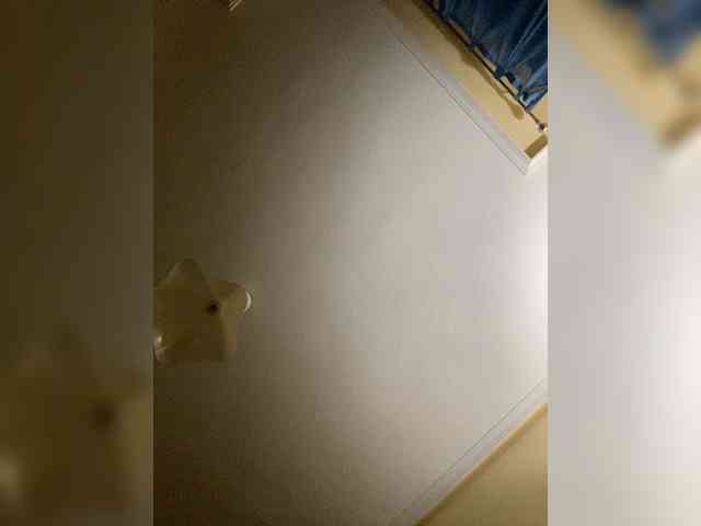 Alikaiwolf webcam