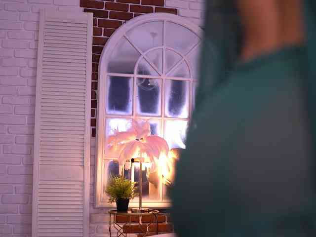 NyssaSky webcam