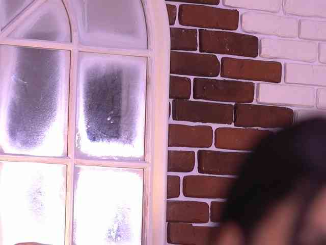 NyssaSky webcam