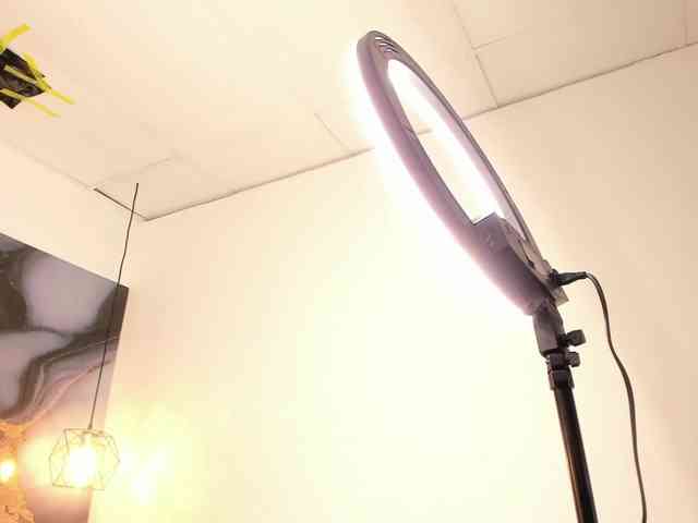 ReneePaz Live Webcam on BongaCams