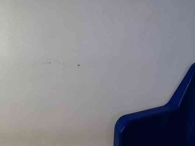 FoxySamantha7 webcam