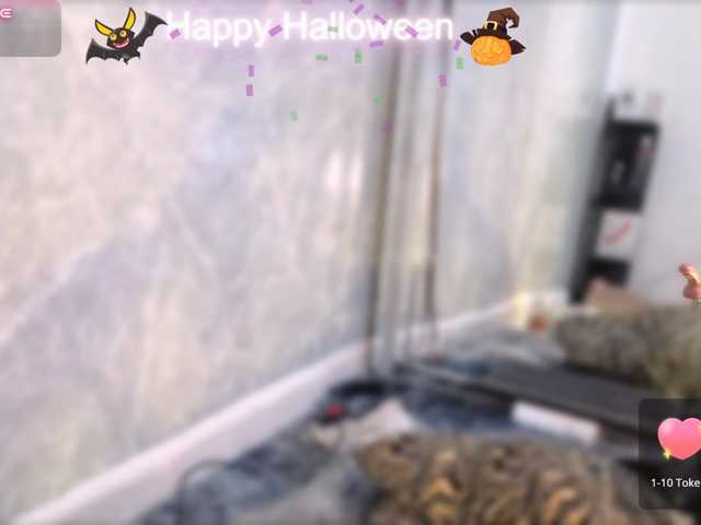 MIAREYS