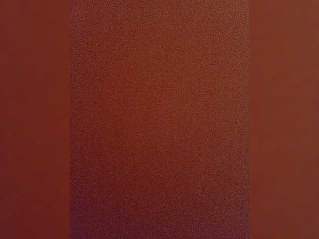 xelga569900 cam belle
