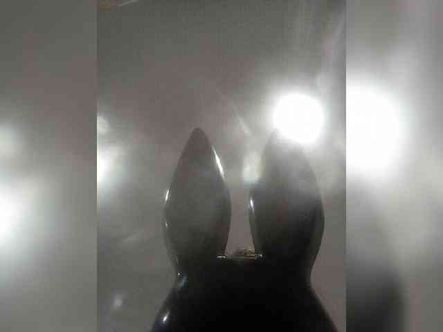 Xelga569900 Live Webcam on BongaCams