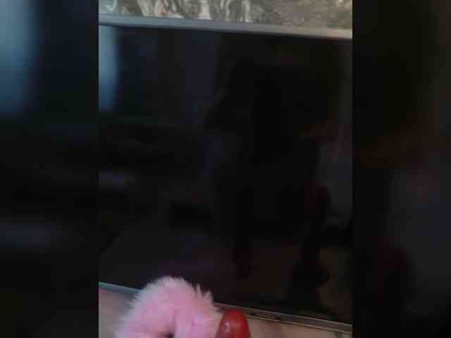 Xelga569900 webcam