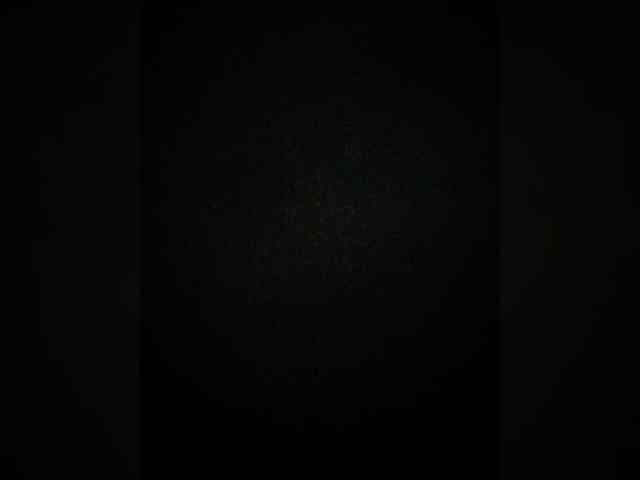 Xelga569900 Sex Cam Show