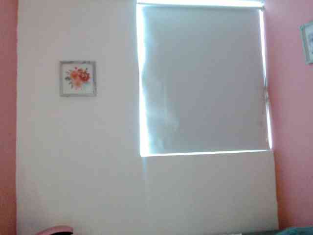 paulett2026 webcam