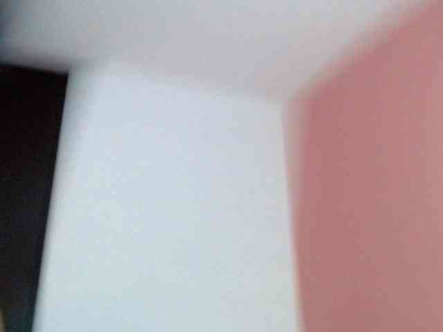 paulett2026 webcam