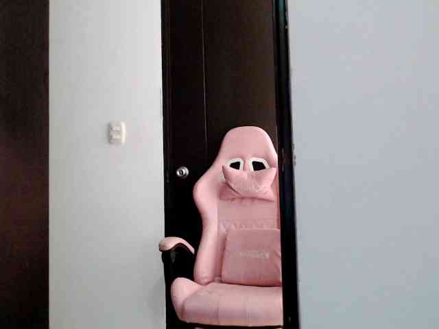 paulett2026 webcam