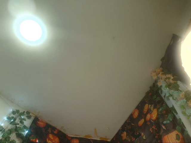 paolamss live cam on BongaCams