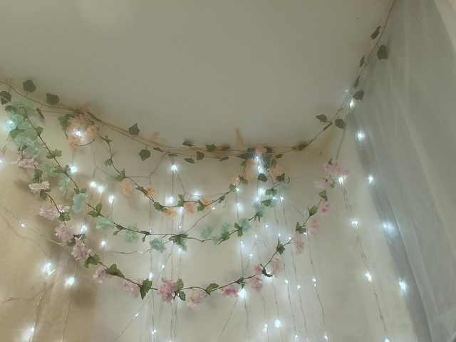 paolamss