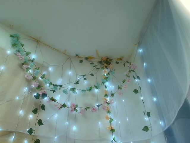 paolamss live cam preview