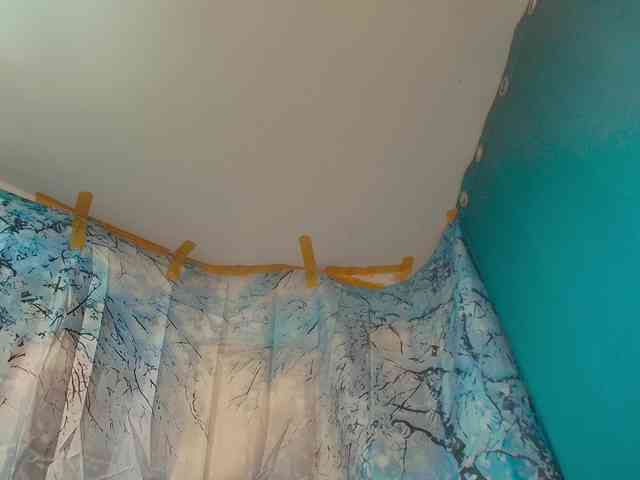 paolamss