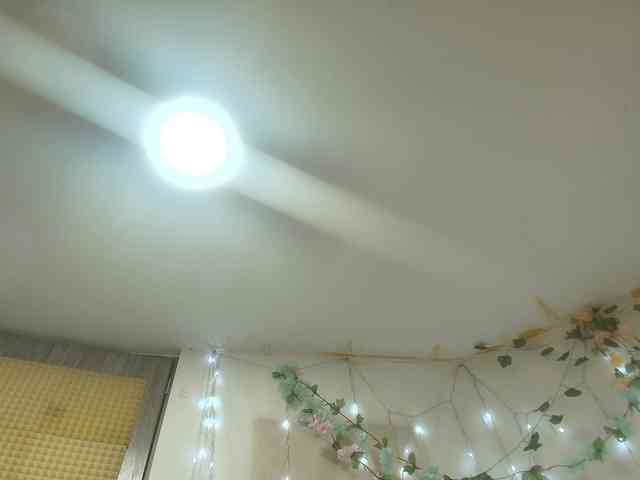 paolamss