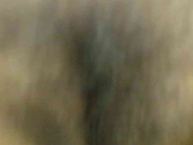 paolamss webcam