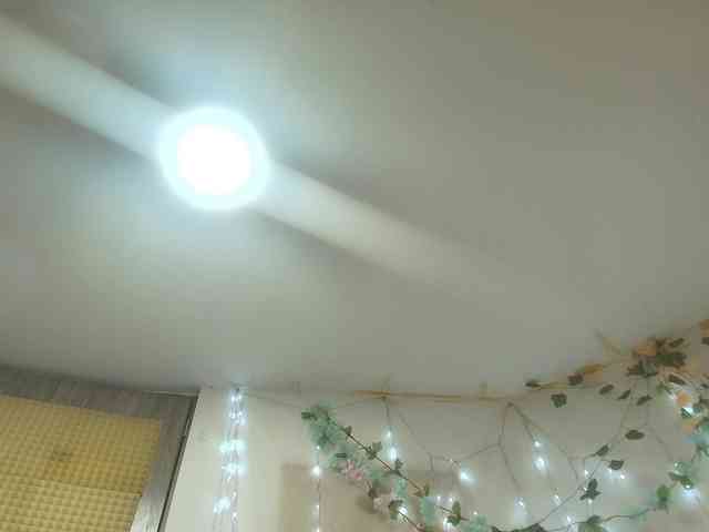 paolamss