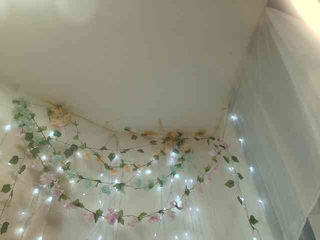 paolamss