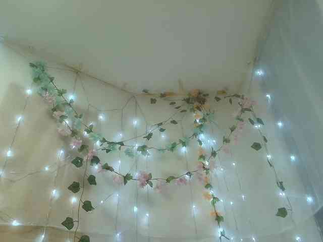 paolamss paolamss