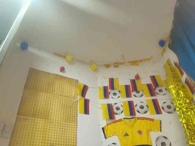 paolamss paolamss