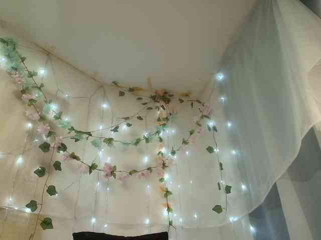 paolamss