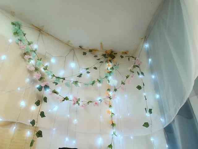 paolamss