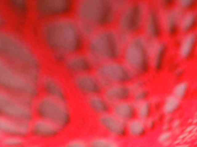 Yorm webcam