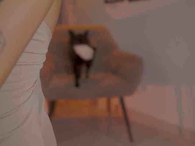 Melytaylor webcam