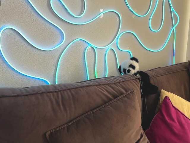 kissnotilt live cam on BongaCams