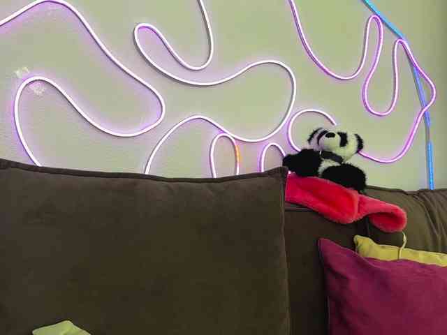 kissnotilt webcam