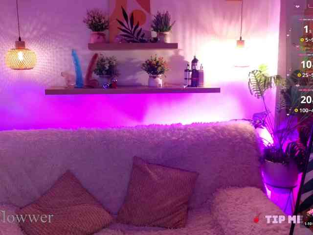 MariaFlowwer webcam