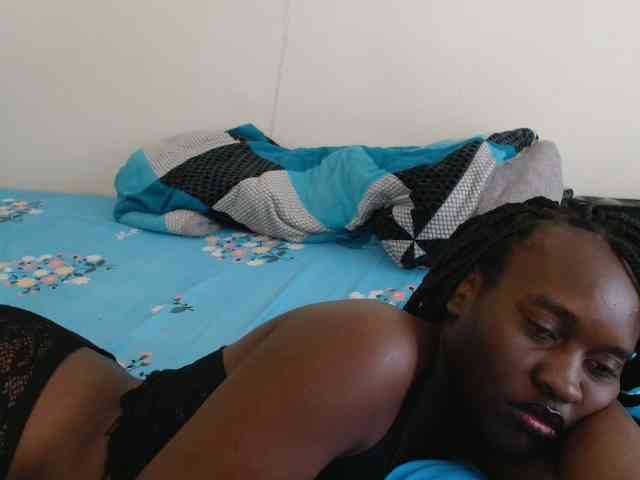 CatsAlley webcam