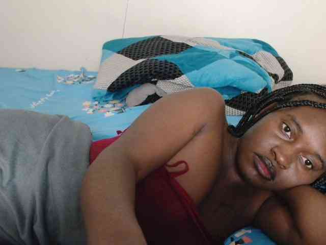 CatsAlley webcam