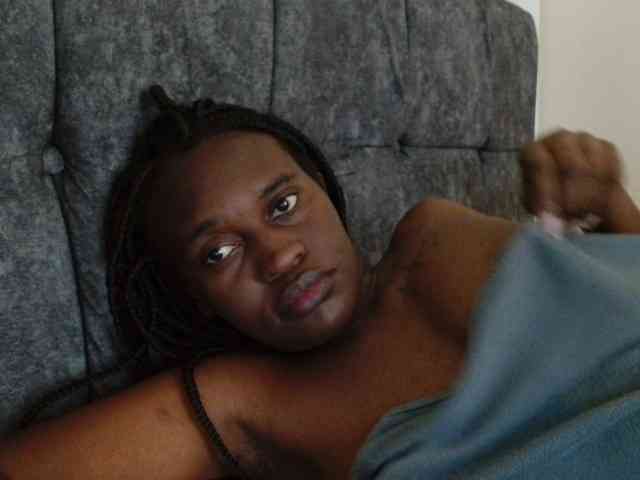 CatsAlley webcam