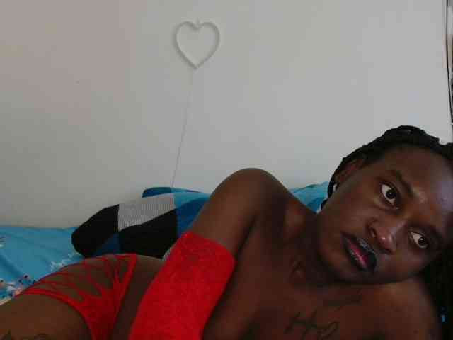 CatsAlley webcam