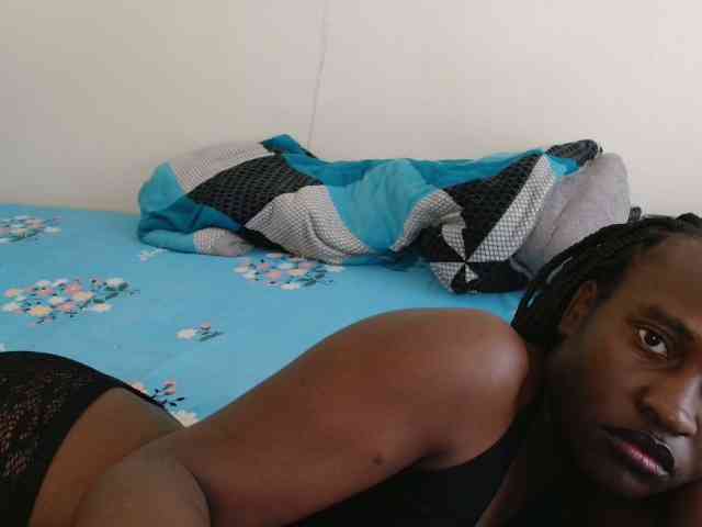 CatsAlley webcam