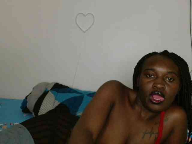CatsAlley webcam