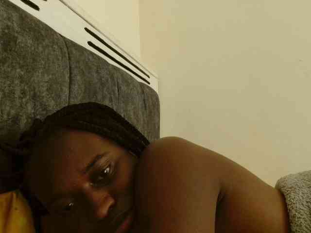 CatsAlley webcam