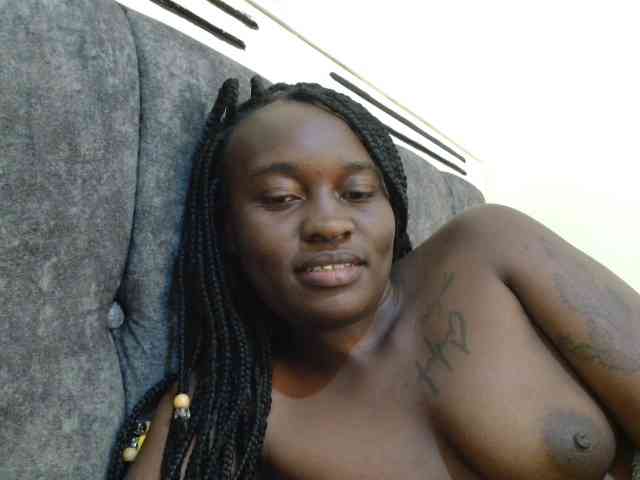 CatsAlley webcam